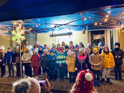 Rozsvěcování vánočních stromů ve Vřesovicích a Výšovicích