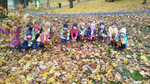 Co umí vítr a déšť